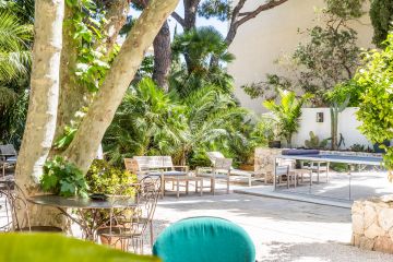Vue large jardin classé Bon Abri et PS7 miroir